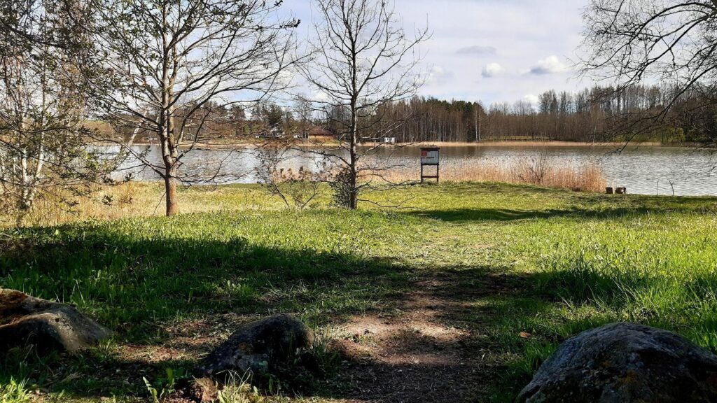 Pikksaare matkarada ja Pangodi lõkkekoht