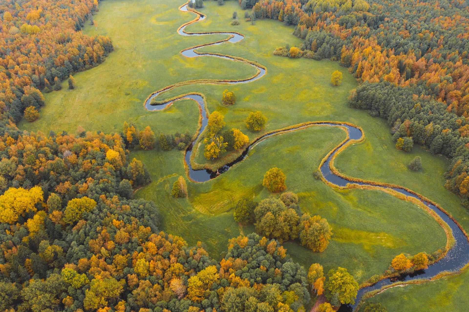 Lemmjõe keelemetsa õpperada