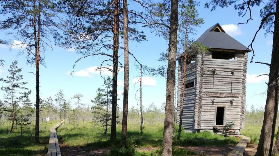 Suuretüki vaatetorn Selli-Sillaotsa õpperajal