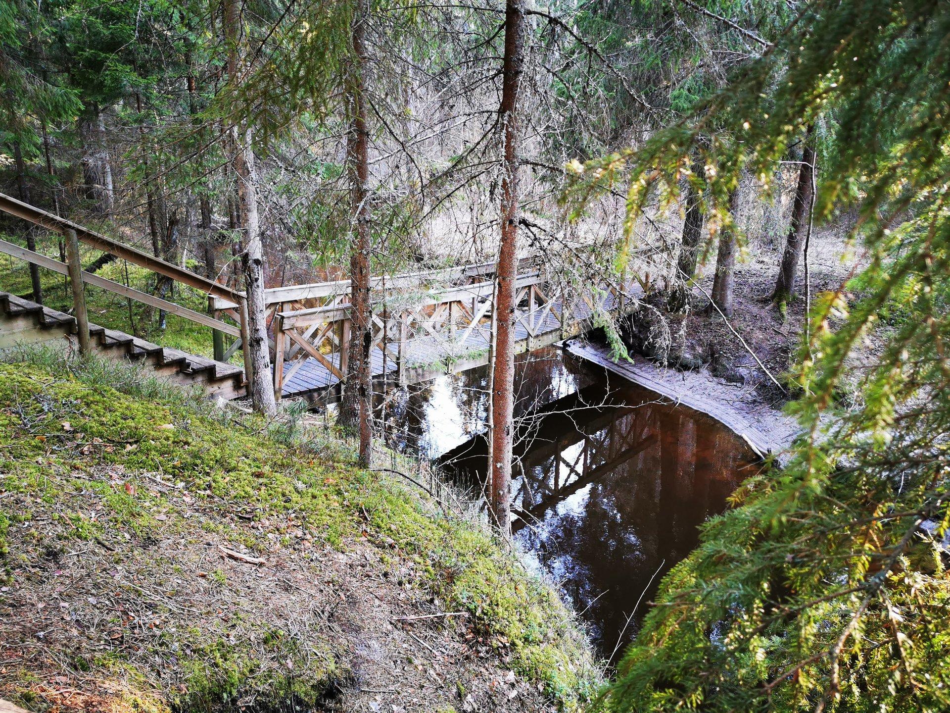 Kolga looduse õpperada