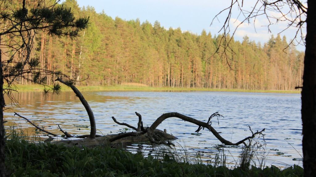 Nohipalu Mustjärv Meenikunno maastikukaitsealal