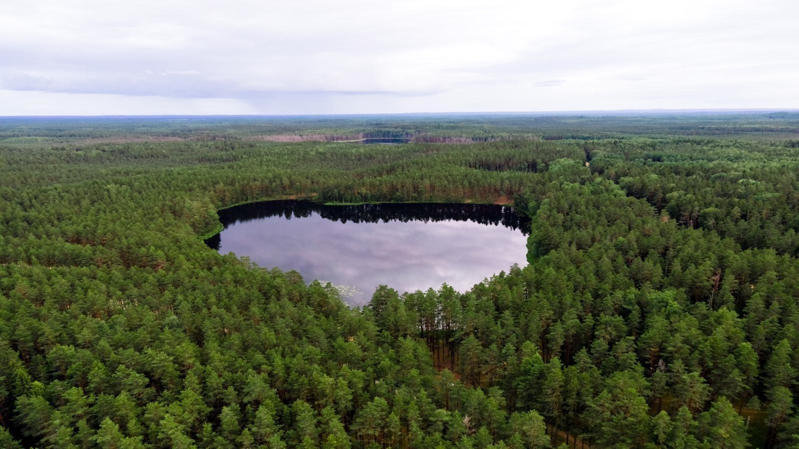 Nohipalu Valgjärv Meenikunno maastikukaitsealal