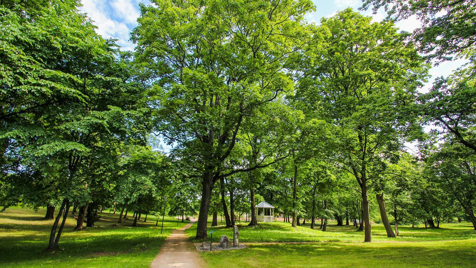 Saka Mõisa park ja kivimite ekspositsioon