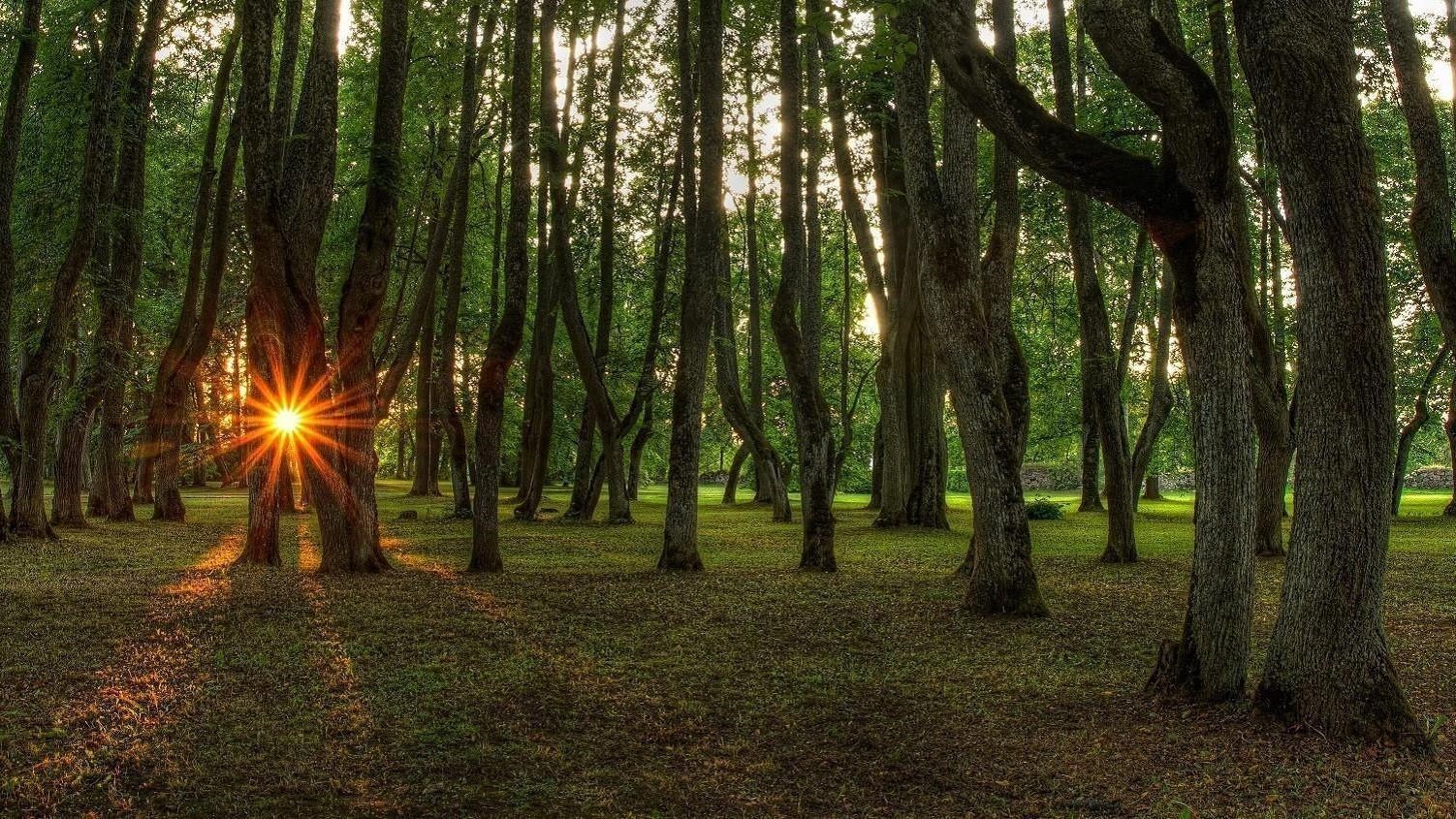 Luke mõis ja mõisapark