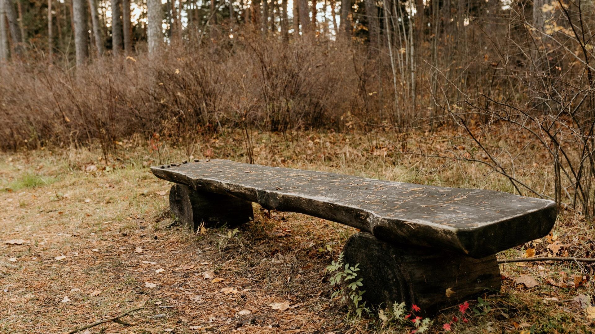 Narva-Jõesuu Pime park