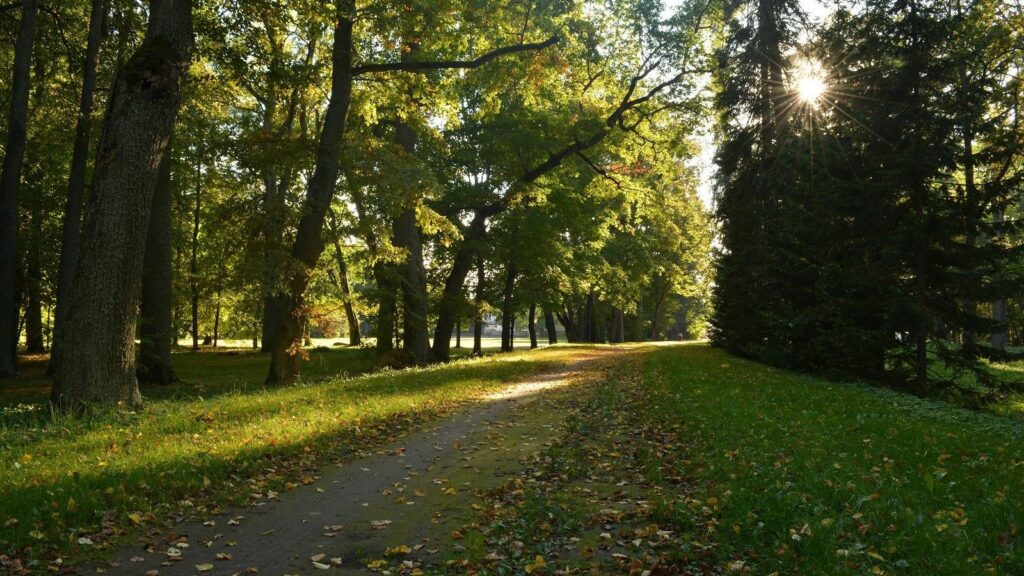 Luunja mõisapark