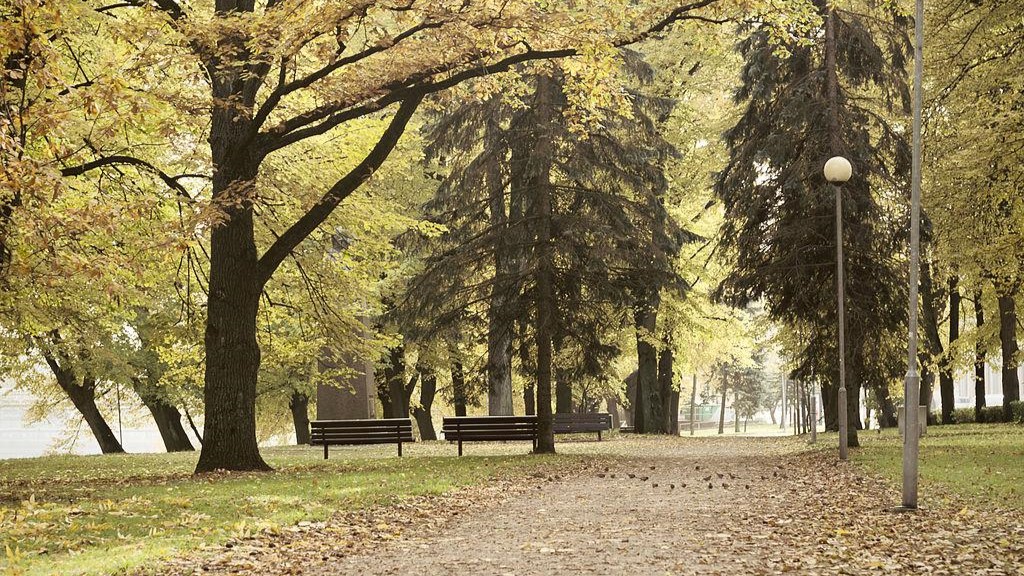 Vabaduse puiestiku park