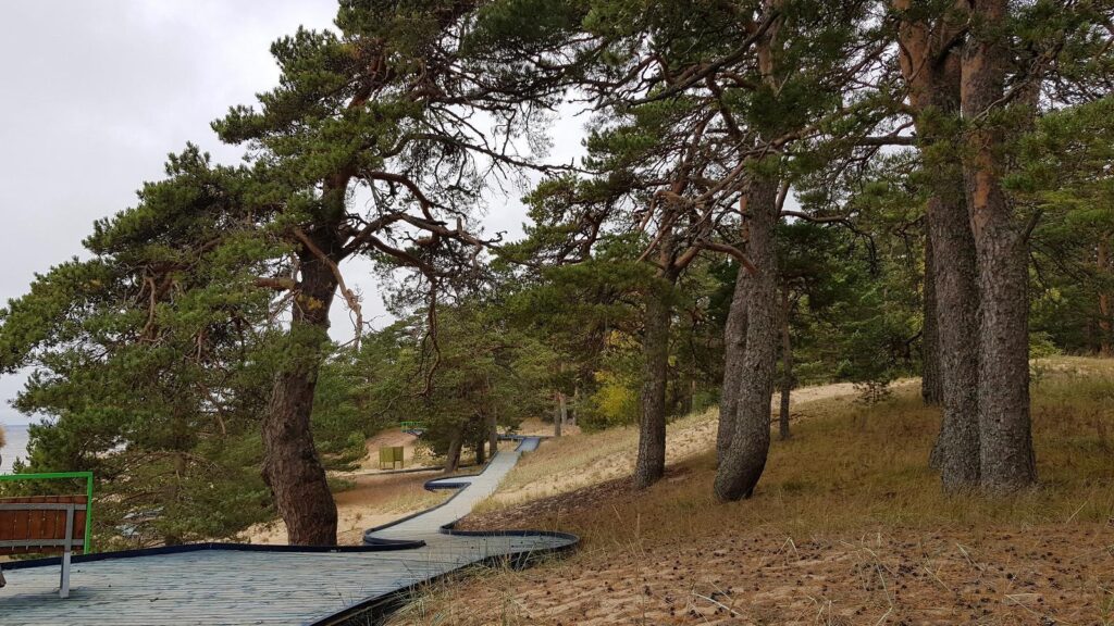 Kauksi rand ja rannapromenaad Peipsi järve ääres