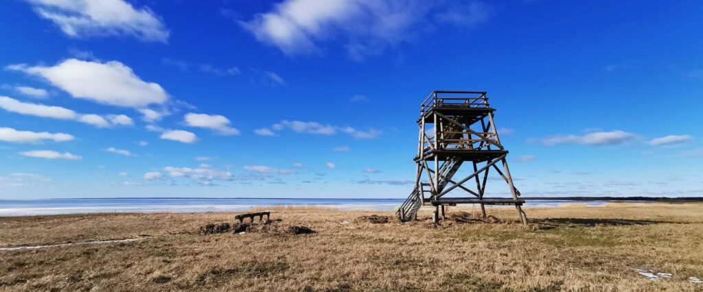 Vana-Pärnu linnuvaatlustorn