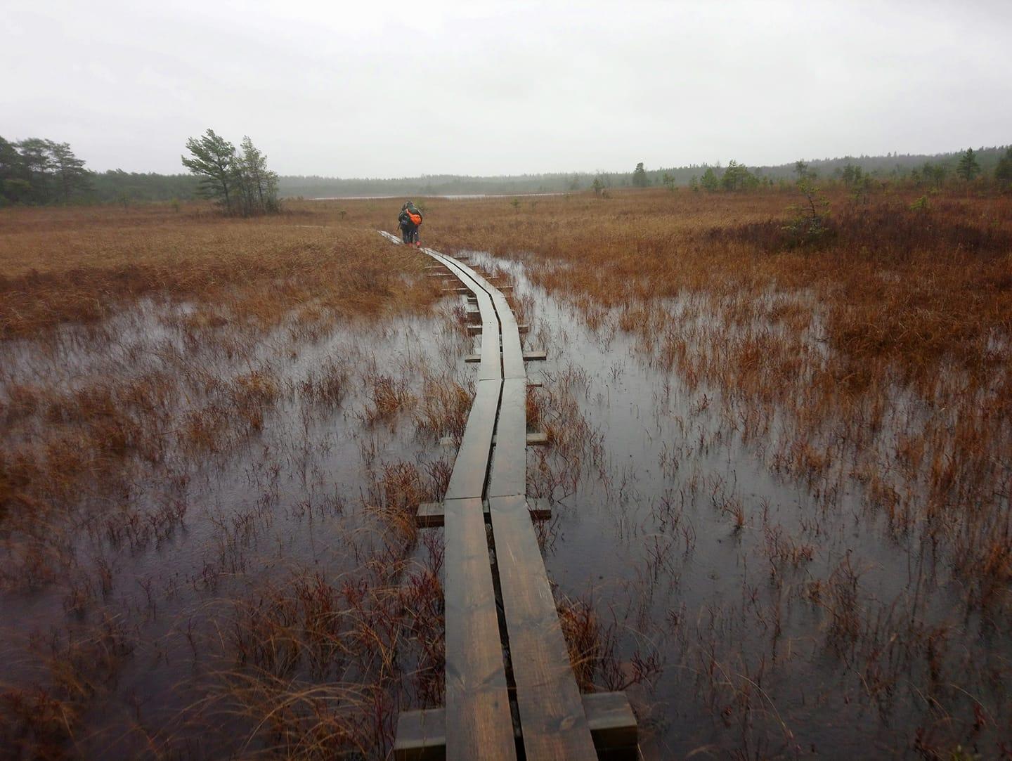 Valgejärve loodusõpperada