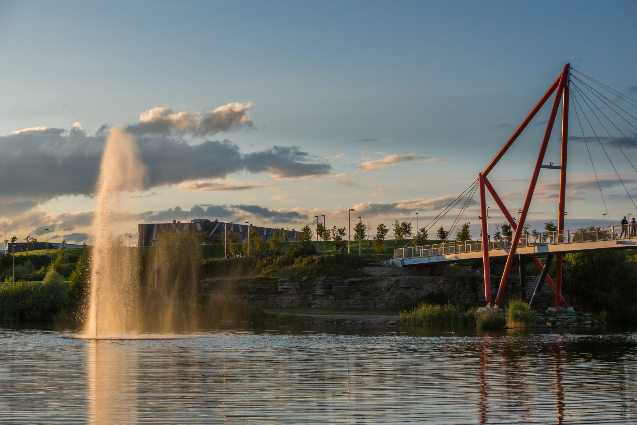 Pae park, lasnamäe sild