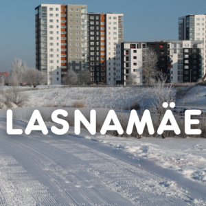 Lasnamägi talvel