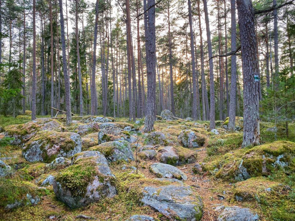 Käsmu kivikülv