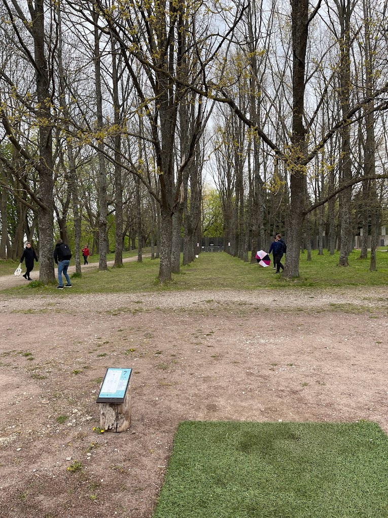 Vabaduseväljaku discgolf park