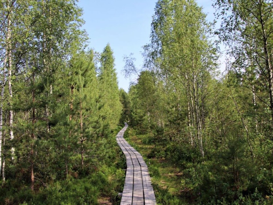 10 terviserada mis toetavad sinu spordikirge